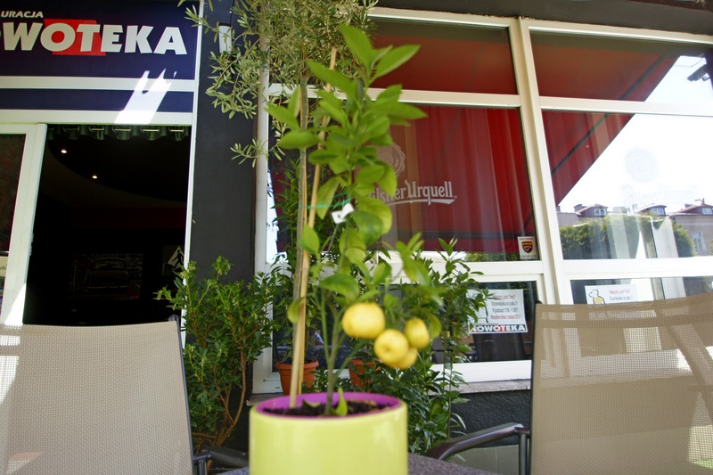 Realizacje Restauracja Nowoteka - drzewka cytrusowe, zdjęcie nr 6